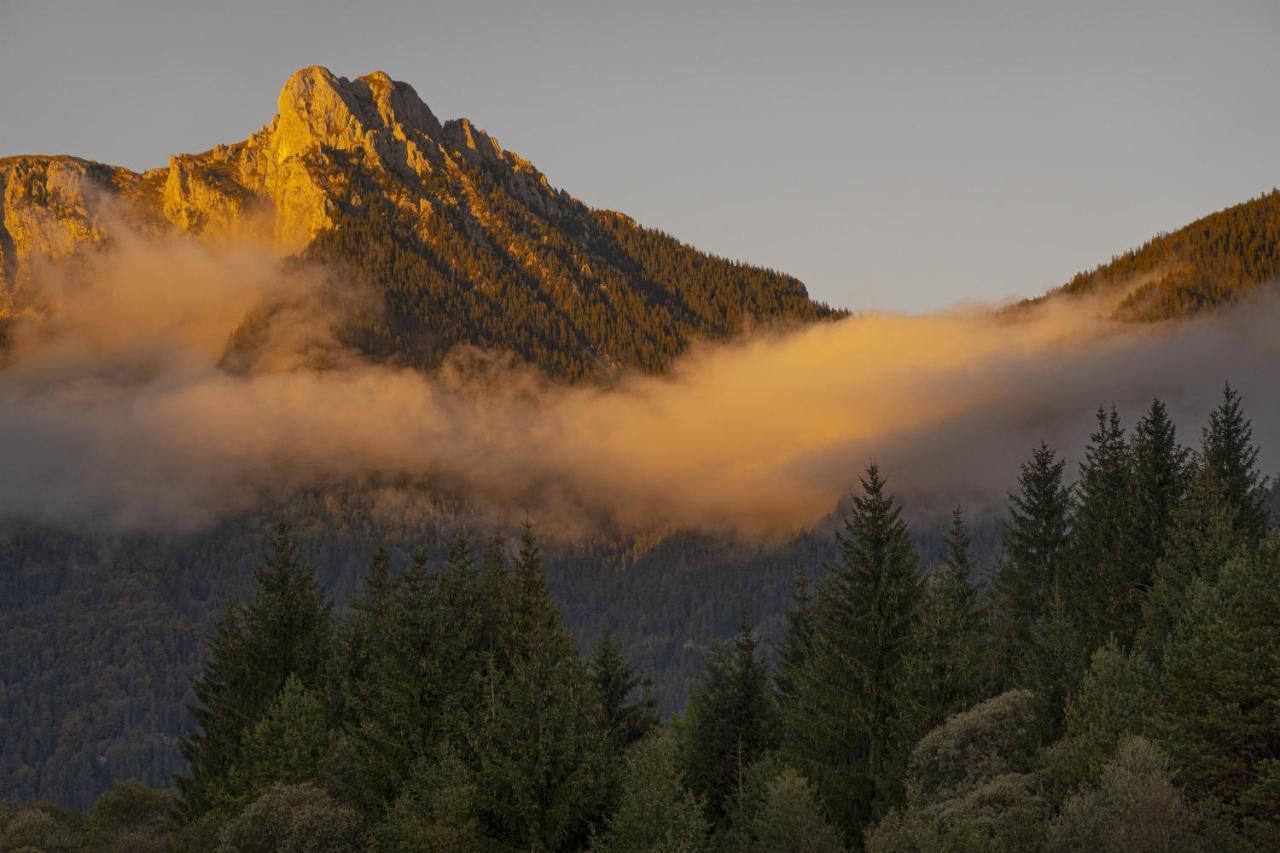 Gori Boutique Apartments - Tirol Reutte Eksteriør billede